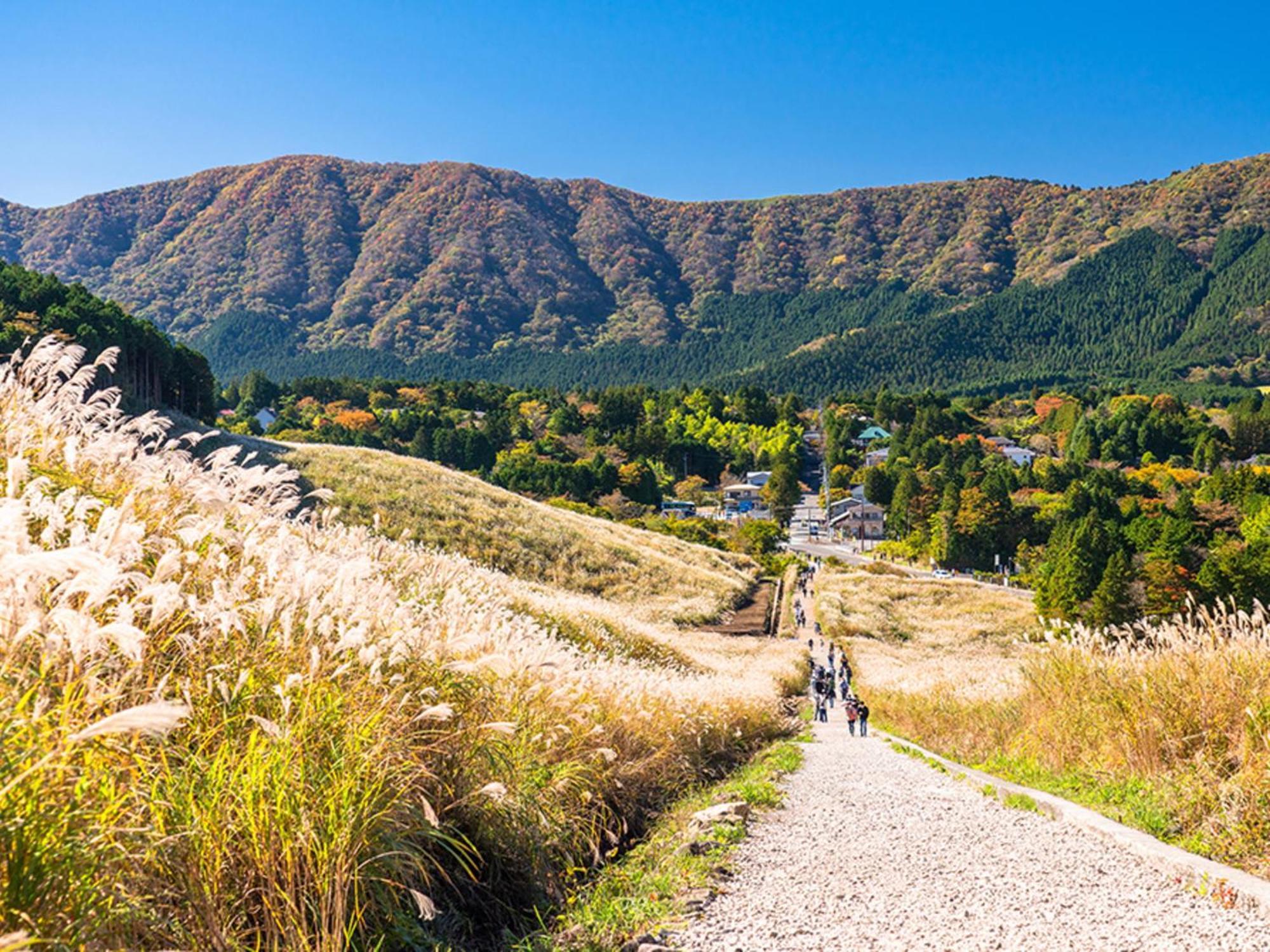 Hotel Shikinoyakata Hakone Ashinoko Eksteriør billede